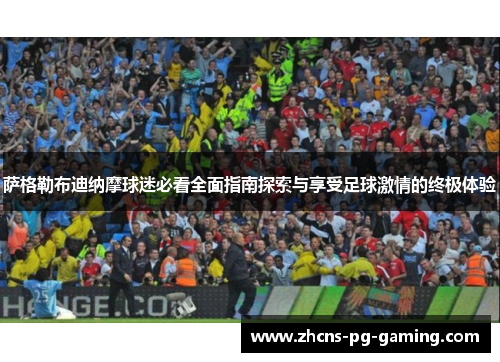 萨格勒布迪纳摩球迷必看全面指南探索与享受足球激情的终极体验